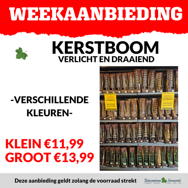 KERSTBOOM VERLCIHT EN DRAAIEND