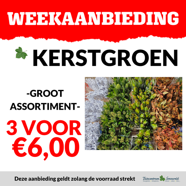 KERSTGROEN 3 VOOR €6,00
