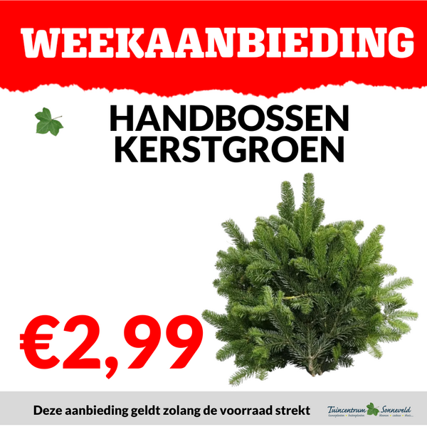 KERSTGROEN HANDBOSSEN €2,99