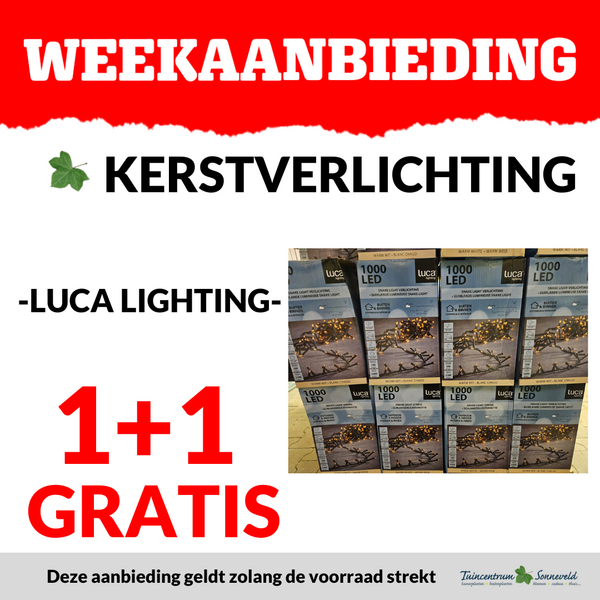 KERSTVERLICHTING 1+1 GRATIS