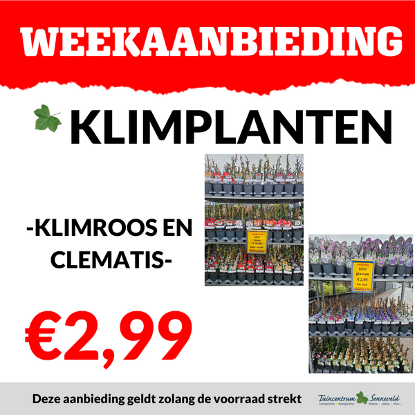 KLIMPLANTEN €2,99
