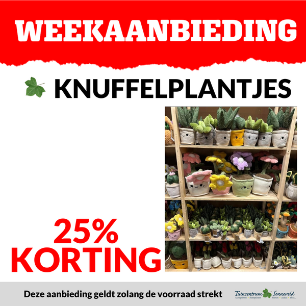 KNUFFELPLANTJES 25% KORTING