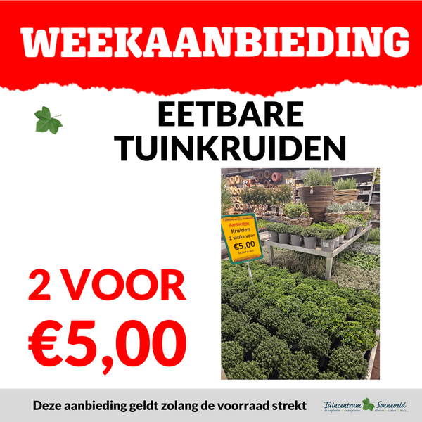KRUIDEN 2 VOOR €5,00