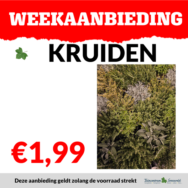 KRUIDEN €1,99