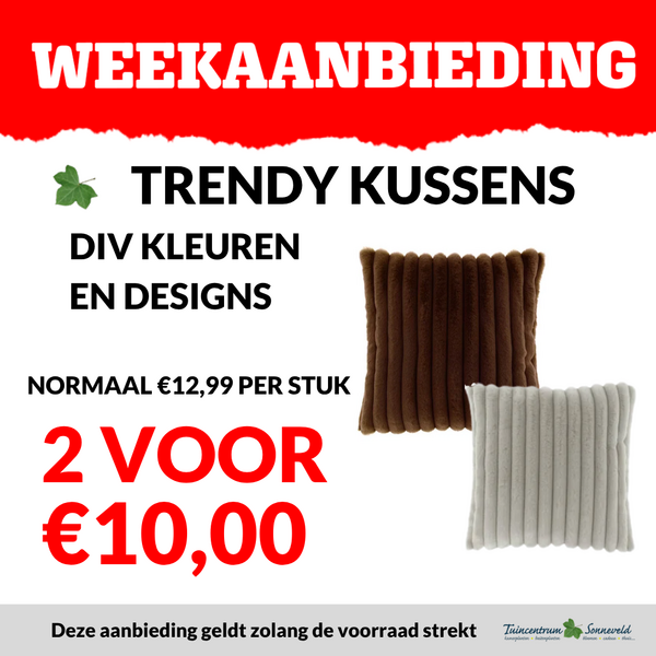 KUSSENS