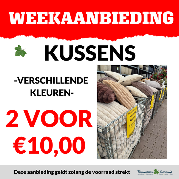 KUSSENS 2 VOOR €10,00
