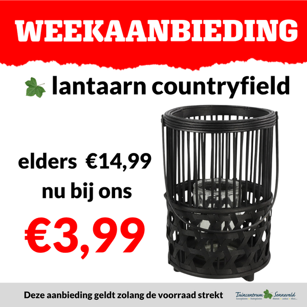 lantaarn €3,99