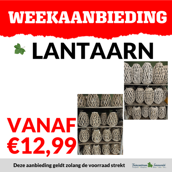 LANTAARNS VANAF €12,99
