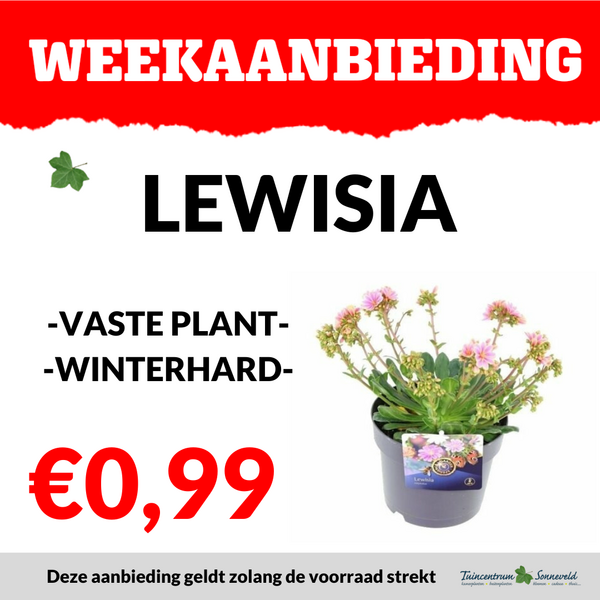 LEWISIA €0,99
