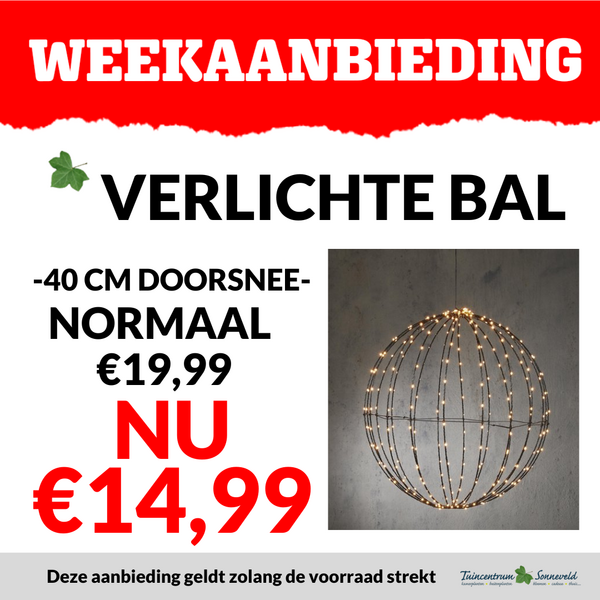 LICHT BOL €14,99