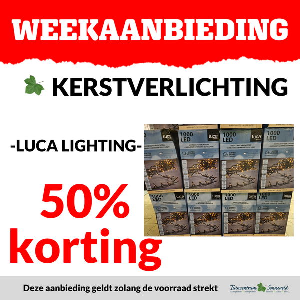 LUCA KERSTVERLICHTING 50% KORTING