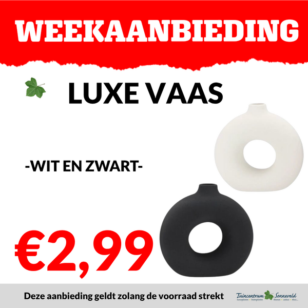 LUXE VAAS €2,99