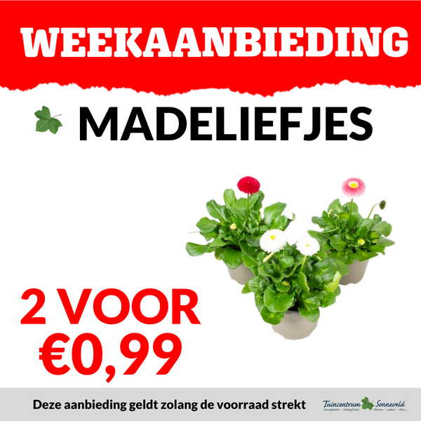 MAELIEFJES 2 VOOR €0,99