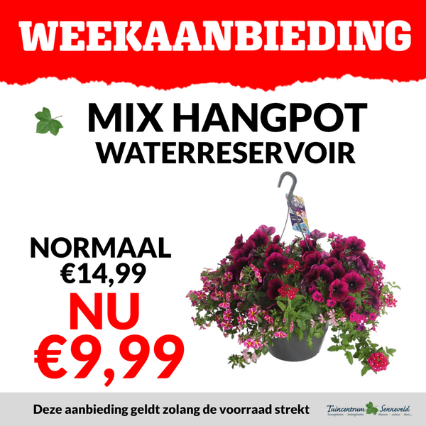 MIX HANGPOT MET WATERRESERVOIR €9,99