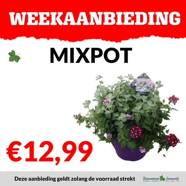 MIXPOT €12,99