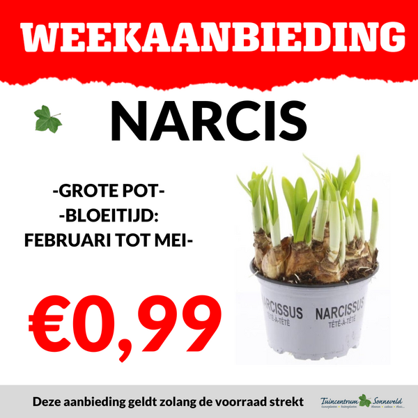 NARCIS €0,99