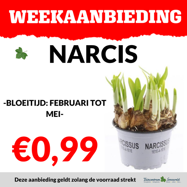 NARCIS €0,99