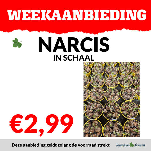 NARCIS SCHAAL €2,99