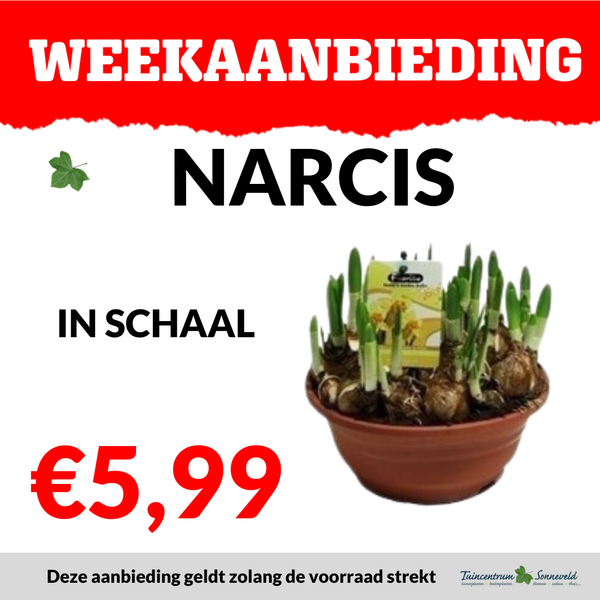 NARCIS SCHAAL €5,99