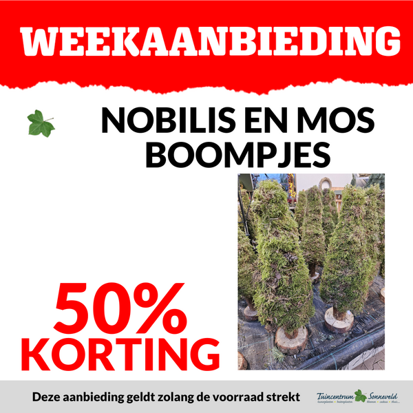 NOBILLIS EN MOS BOOMPJES 50% KORTING