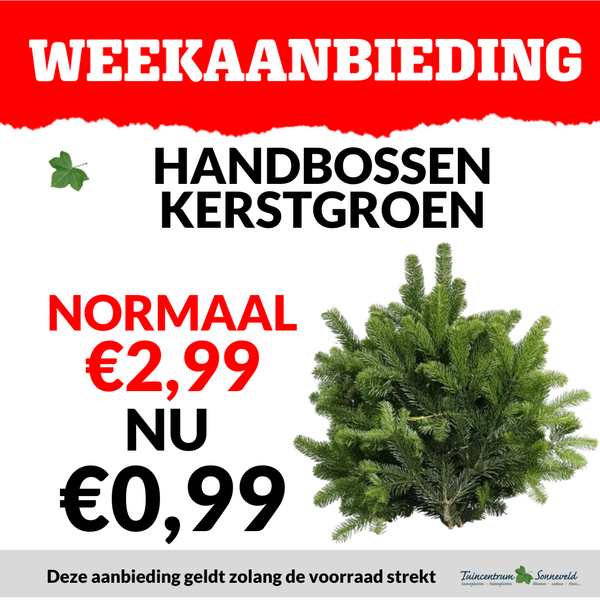 NOBILLIS HANDBOSSEN €0,99