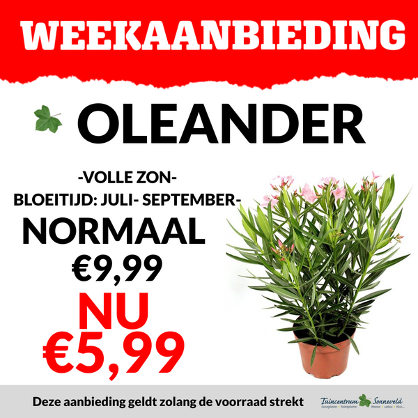OLEANDER €5,99