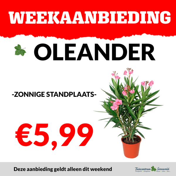 OLEANDER €5,99
