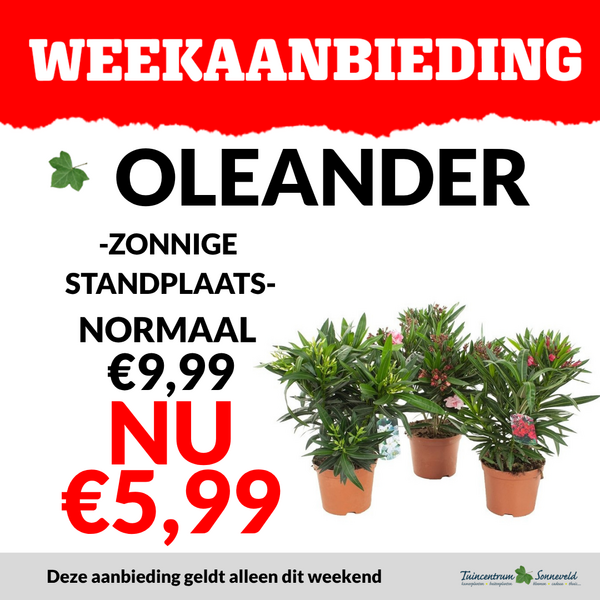 OLEANDER €5,99