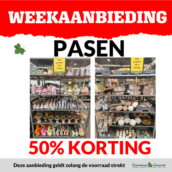 PASEN 50% KORTING