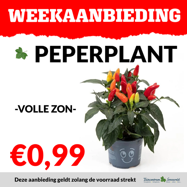 PEPERPLANT €0,99
