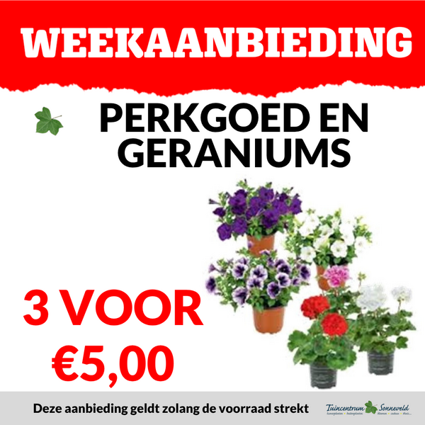 PERKGOED EN GERANIUMS 3 VOOR €5,00