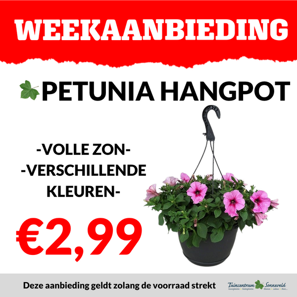 PETUNIA HANGPOT €2,99