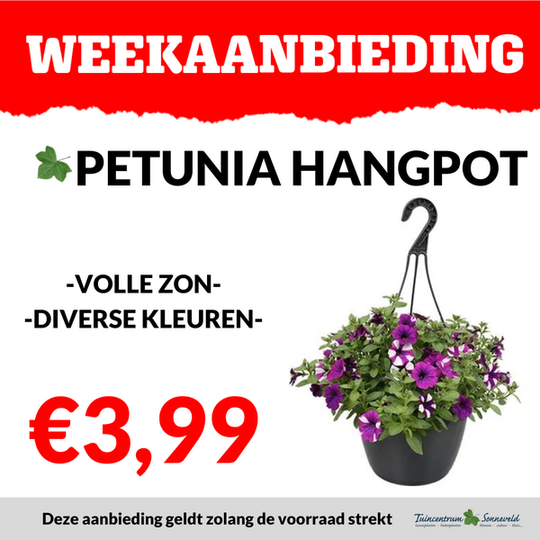 PETUNIA HANGPOT €3,99