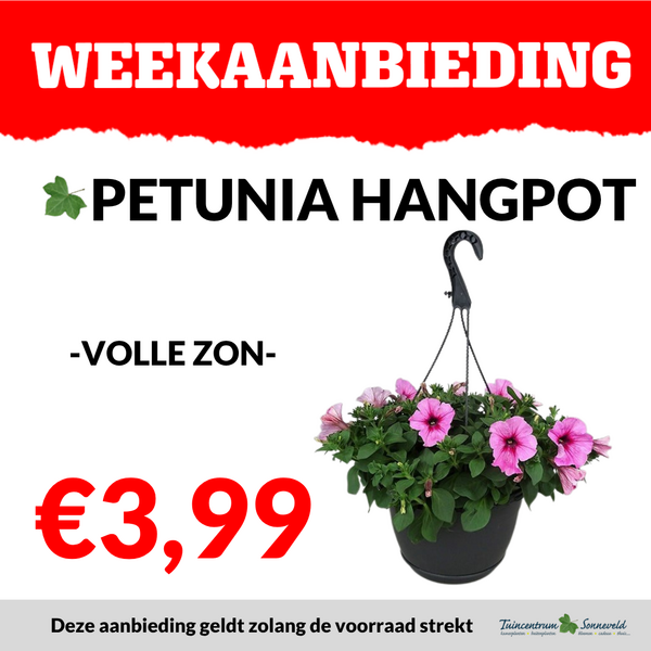 PETUNIA HANGPOT €3,99