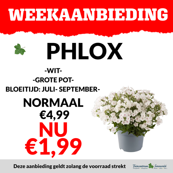 PHLOX €1,99
