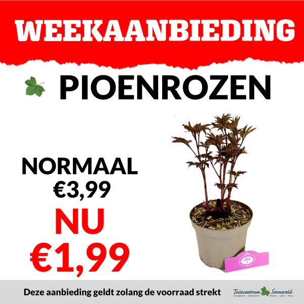 PIOENROOS €1,99