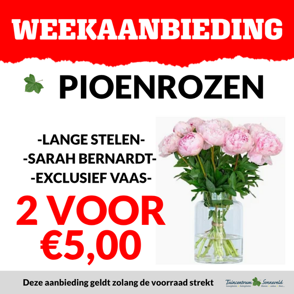 PIOENROZEN 2 VOOR €5,00