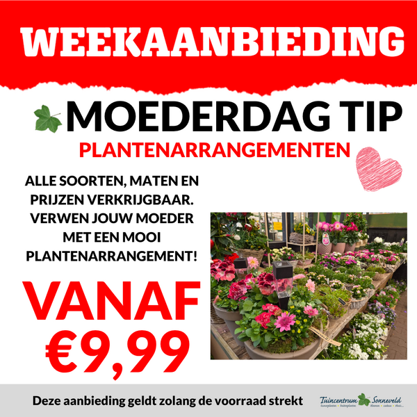 PLANTENBAKKEN VANAF €9,99