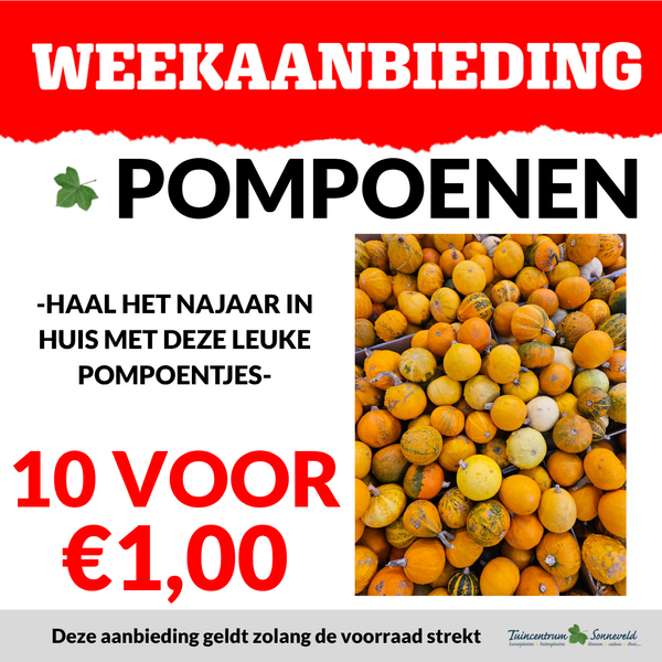 POMPOENEN 10 VOOR €1,00