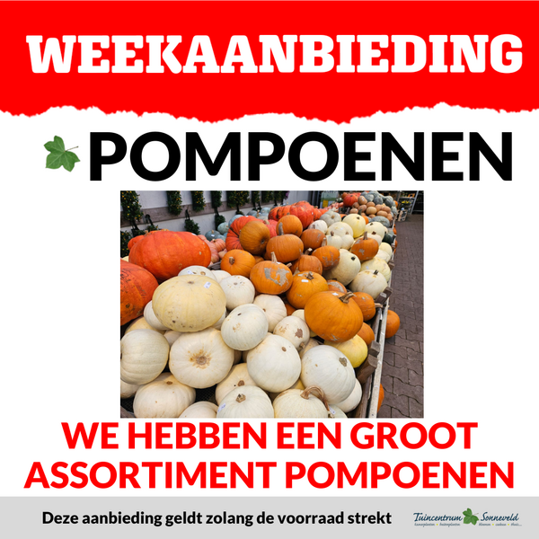 POMPOENEN