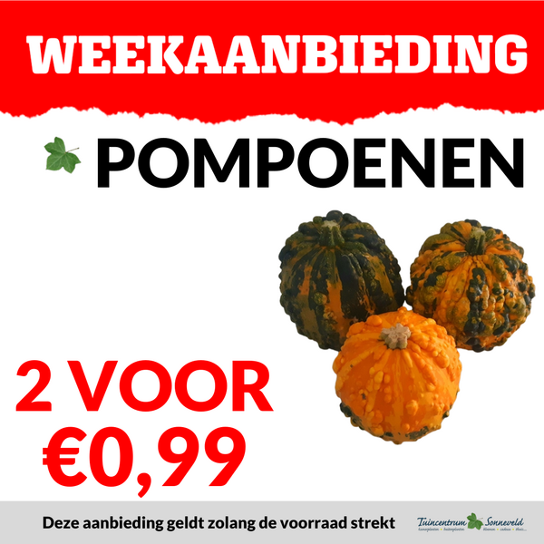 POMPOENEN 2 VOOR €0,99