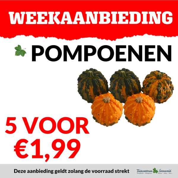 POMPOENEN 5 VOOR €1,99