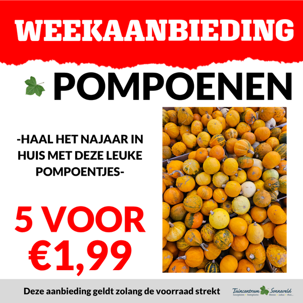 POMPOENEN 5 VOOR €1,99