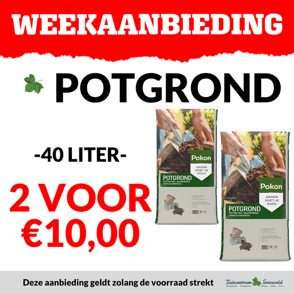 POTGROND 2 VOOR €10,00