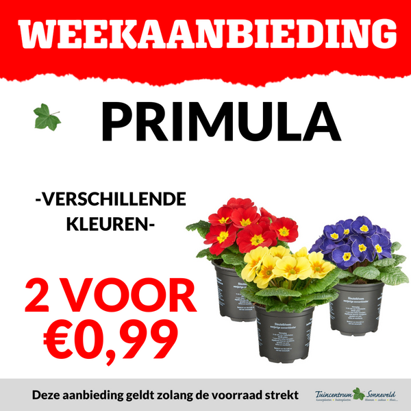 PRIMULA 2 VOOR €0,99