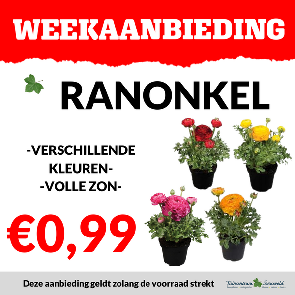 RANONKEL €0,99