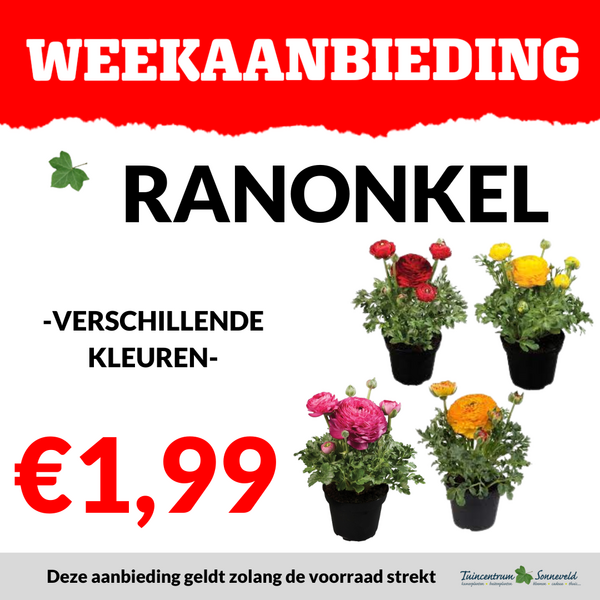 RANONKEL €1,99