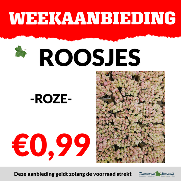ROOSJES €0,99