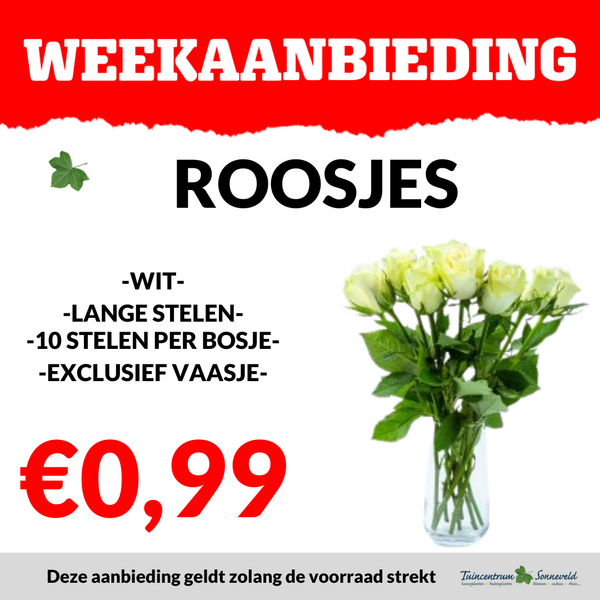 ROOSJES €0,99