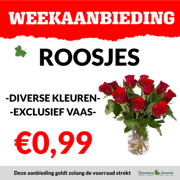 ROOSJES €0,99